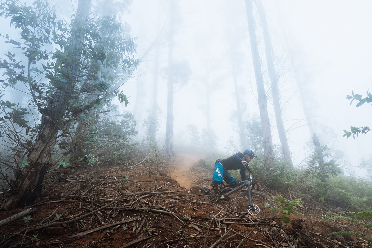 Insbesondere auf den extrem schnellen und etwas ausgebauteren Downhill-Strecken in Madeiras Eukalyptuswäldern war das Nukeproof Mega voll in seinem Element und würde wohl auch in den meisten Bikeparks keine schlechte Figur machen. Insbesondere auf den extrem schnellen und etwas ausgebauteren Downhill-Strecken in Madeiras Eukalyptuswäldern war das Nukeproof Mega voll in seinem Element und würde wohl auch in den meisten Bikeparks keine schlechte Figur machen.