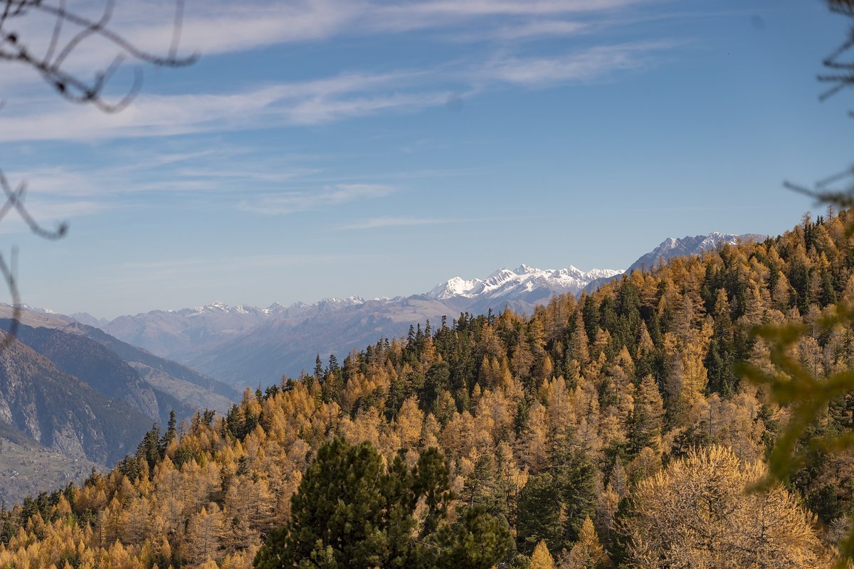 Die Schweiz stellt dank Bilderbuch-Kulisse und sensationellen Trails ein Traumreiseland für Mountainbiker dar Die Schweiz stellt dank Bilderbuch-Kulisse und sensationellen Trails ein Traumreiseland für Mountainbiker dar