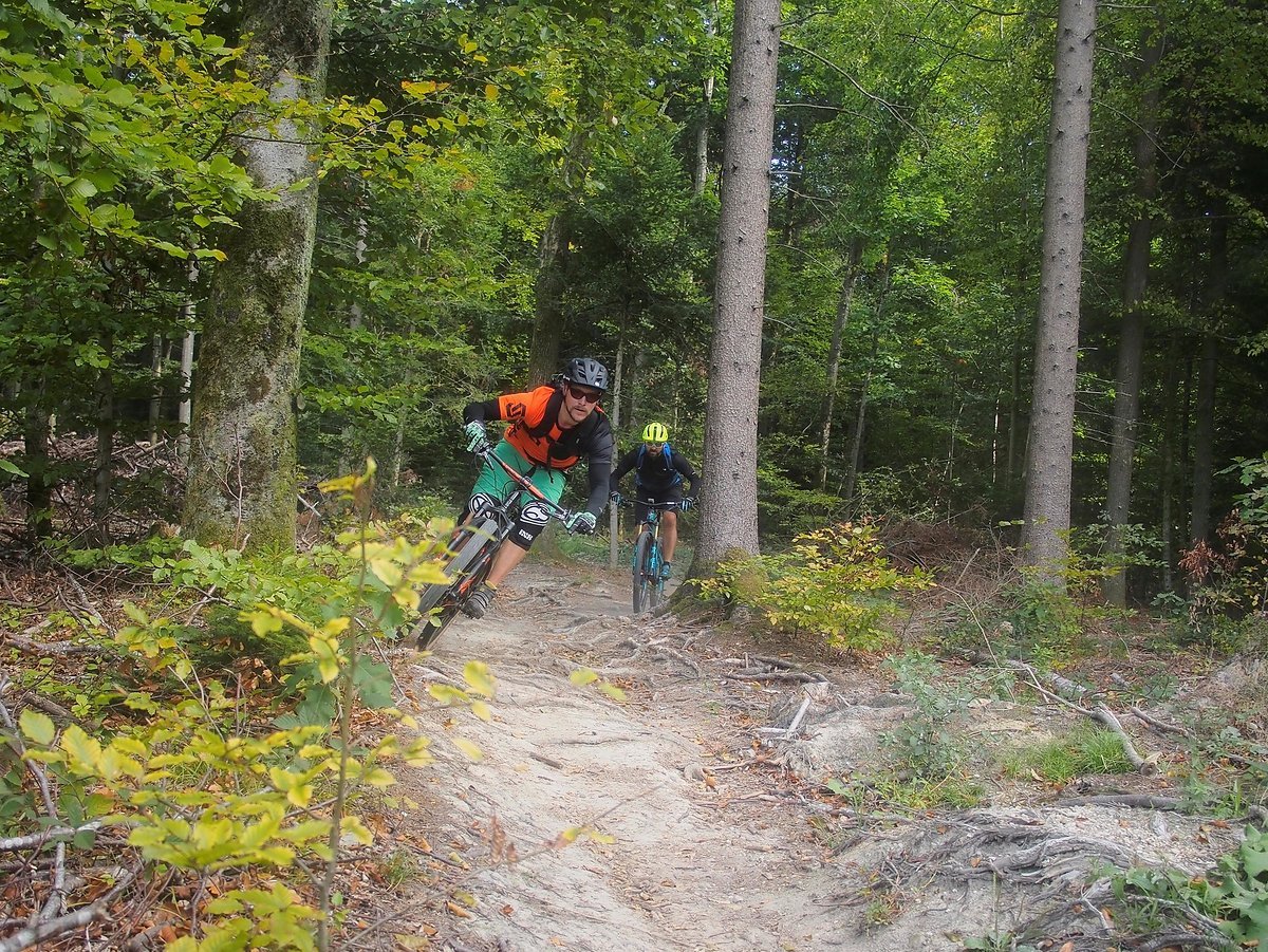 Das Scar Cycles Pinion Enduro Hardtail im täglichen Einsatzgebiet Das Scar Cycles Pinion Enduro Hardtail im täglichen Einsatzgebiet