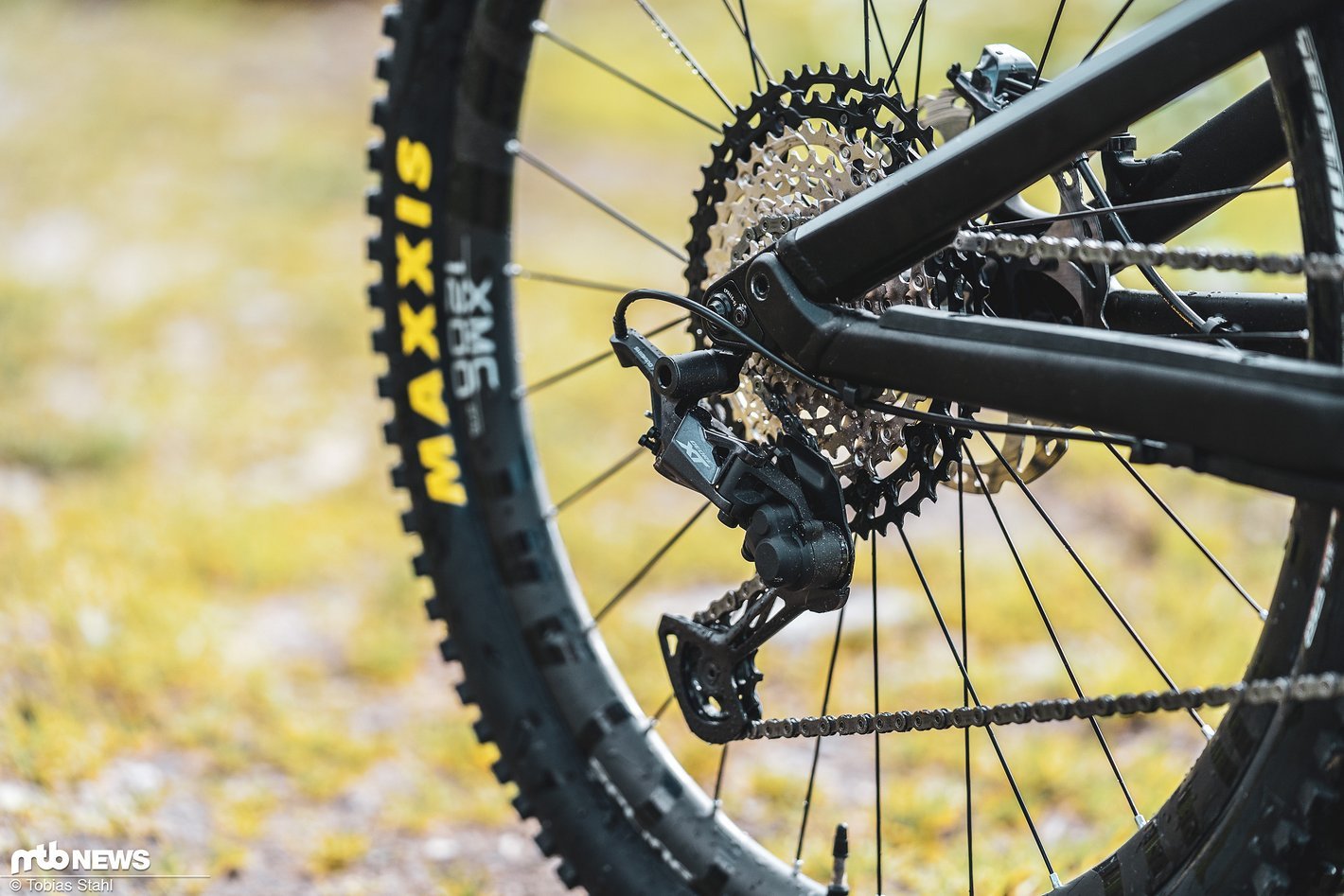 Shimano XT M8100 12 Fach Antrieb Im Test Preis Leistungs Referenz