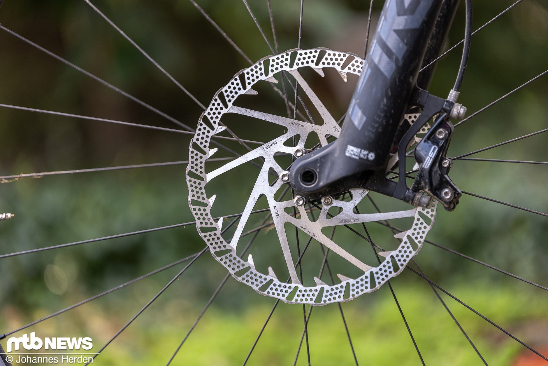 Galfer Disc Shark Bremsscheiben Im Test Mehr Biss MTB News De