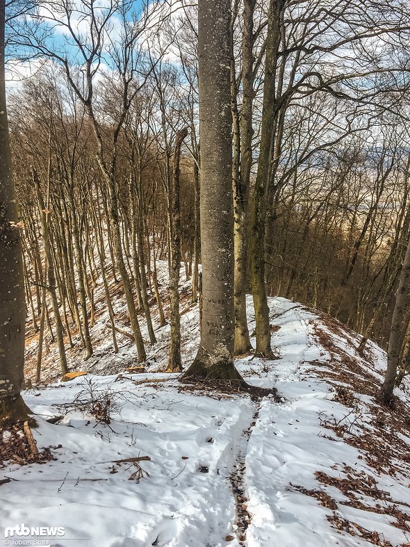 Irgendwann schlängelt sich der Trail jedoch auf dem Rücken entlang Irgendwann schlängelt sich der Trail jedoch auf dem Rücken entlang