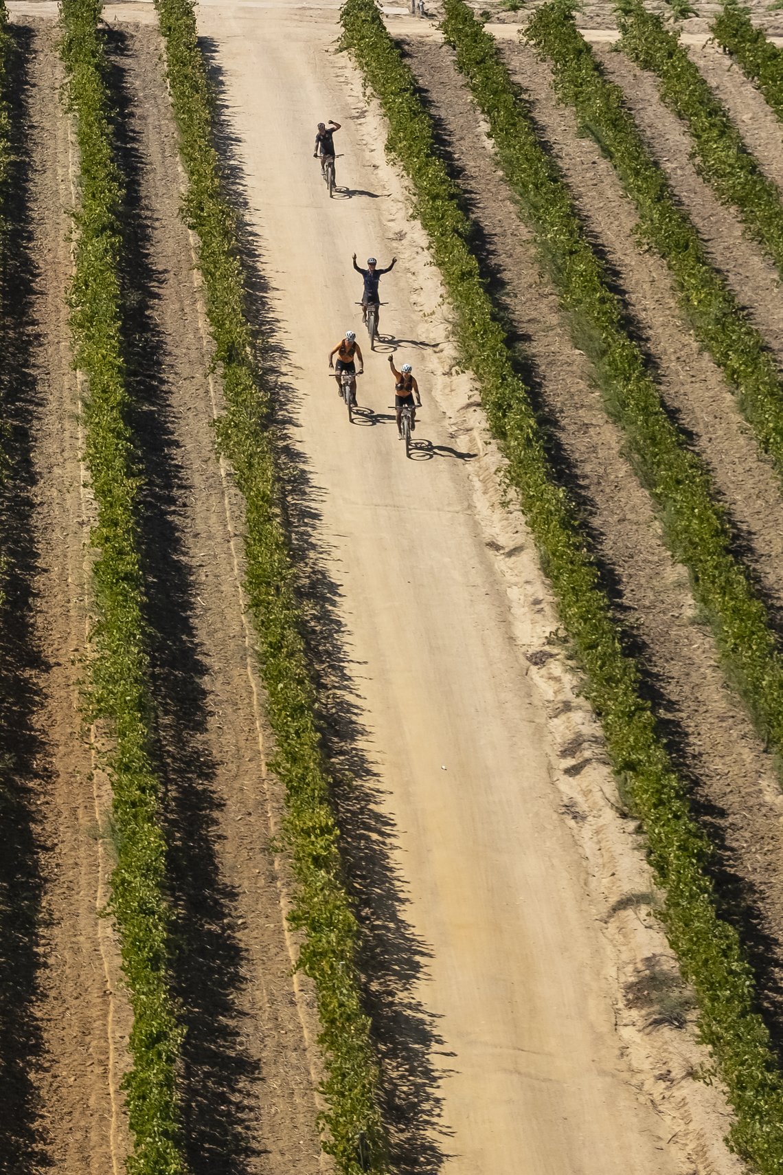 Riders make their way back to Wellington through the wine lands during Stage 5 of the 2024 Absa Cape Epic Mountain Bike stage race from CPUT, Wellington to CPUT, Wellington, South Africa on 22 March 2024. Photo by Dom Barnardt /Cape Epic
PLEASE ENSUR