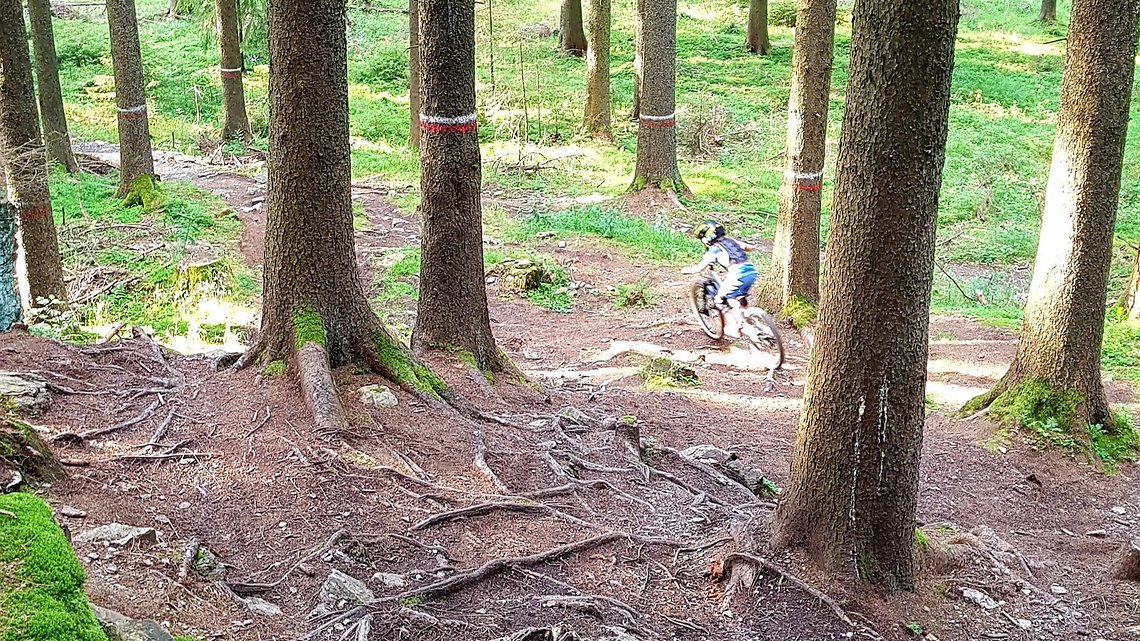 Technischer Trail im Trailpark – leider nicht im Rahmen des U9-Rennens.