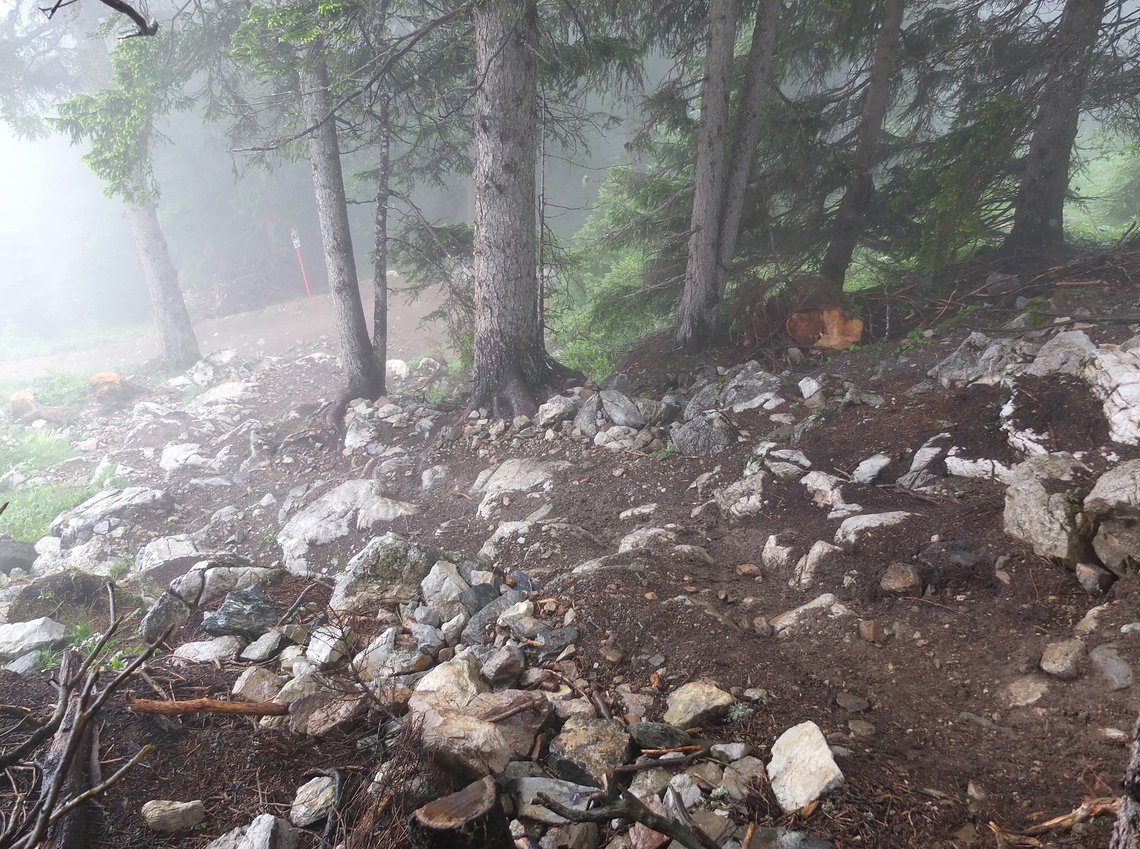 Der Rockgarden von oben...