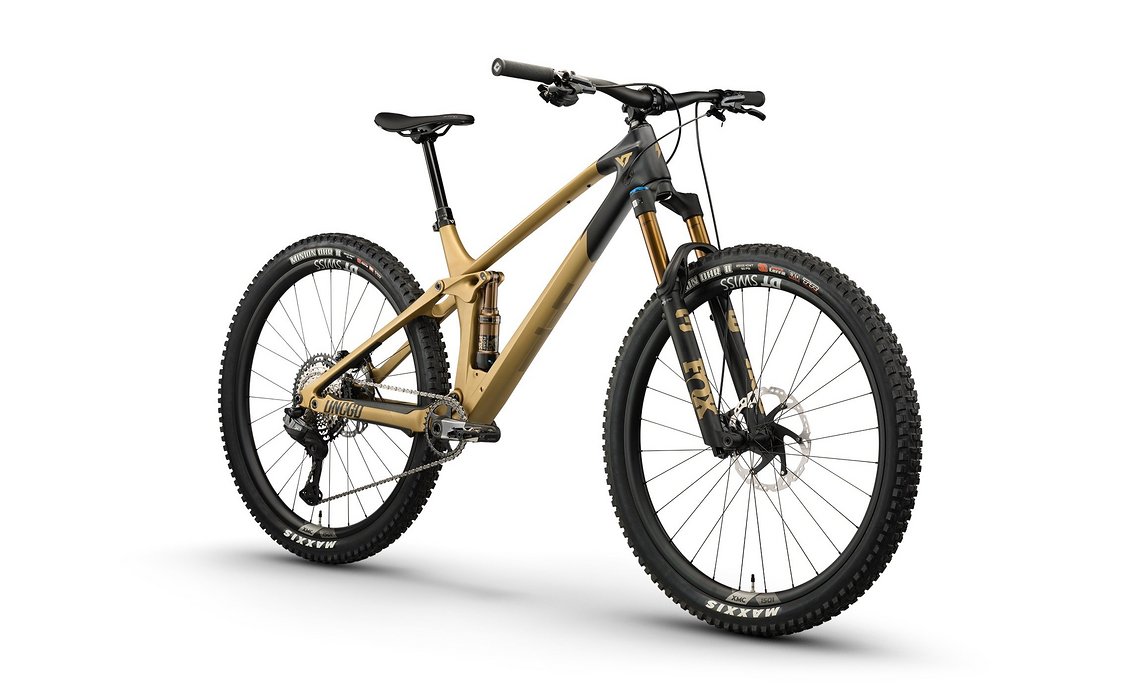 Das kranichgoldene Bike gibt es für knapp 6.000 € (UVP).