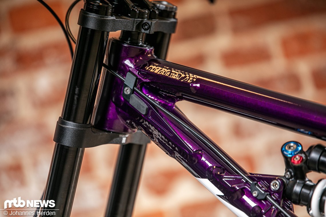 Nicolai - Craft Bike Days 2023-19