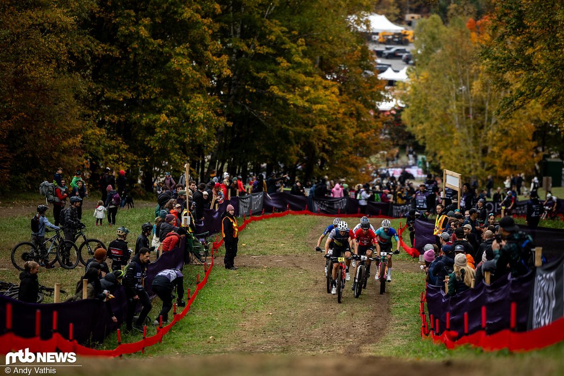 MTBNews
