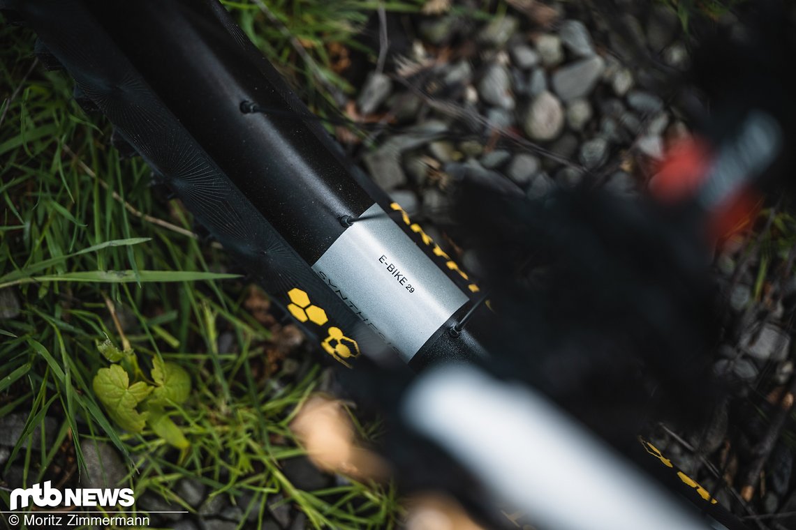 Am Heck kommt eine Crankbrothers E-Bike-Felge in 29" zum Einsatz