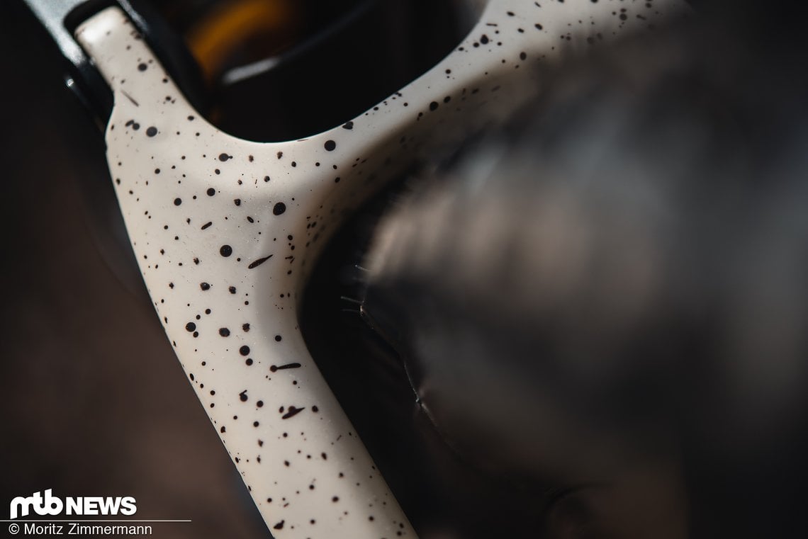 specialized-enduro-ltd-5453