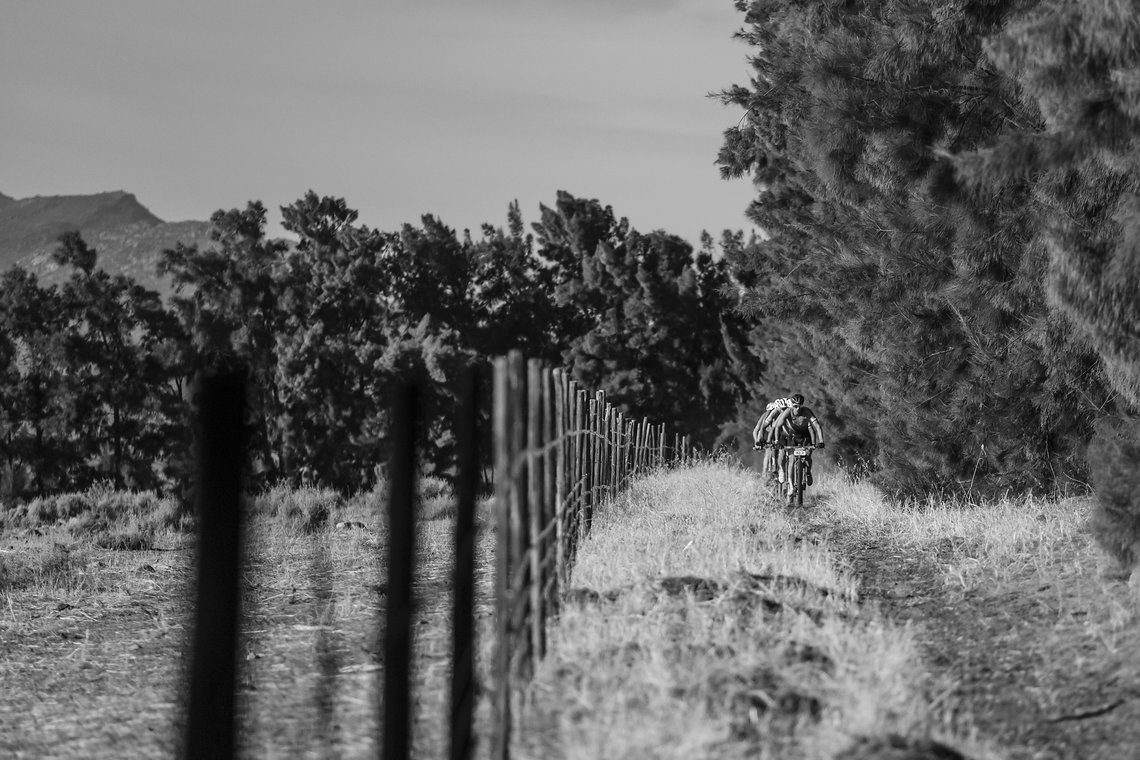 Scenic on a farm road during Stage 1 of the 2024 Absa Cape Epic Mountain Bike stage race from Saronsberg Wine Estate to Saronsberg Wine Estate, Tulbagh, South Africa on the 18th March 2024. Photo by Dominic Barnardt / Cape Epic
PLEASE ENSURE THE APPR