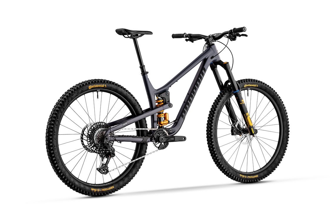 Tyee-AL-Midnight-Blue-Swedish-Gold-003-Falch-Photography