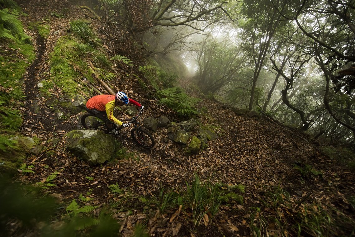 Der mehrfache Fourcross-Weltmeister hat sich in letzter Zeit vor allem auf den Enduro-Sport konzentriert