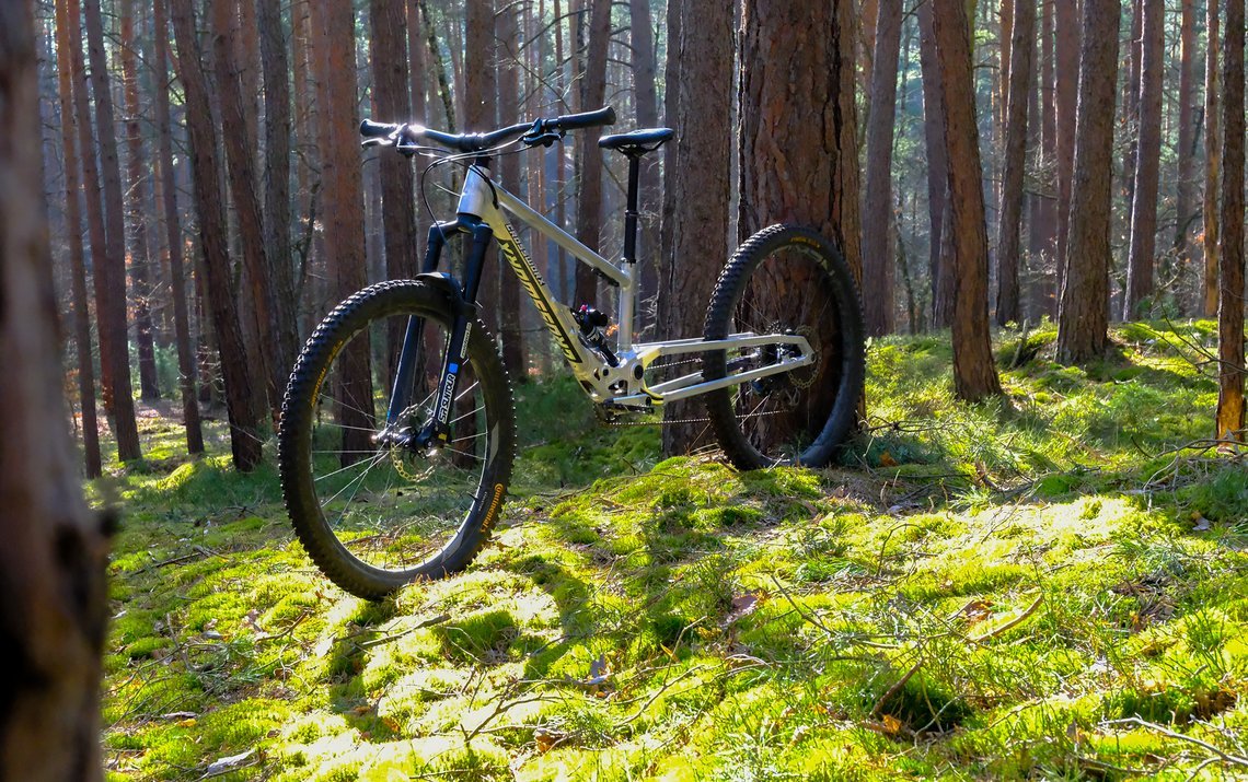 Crossworx DASH VKHL Edition (7)
