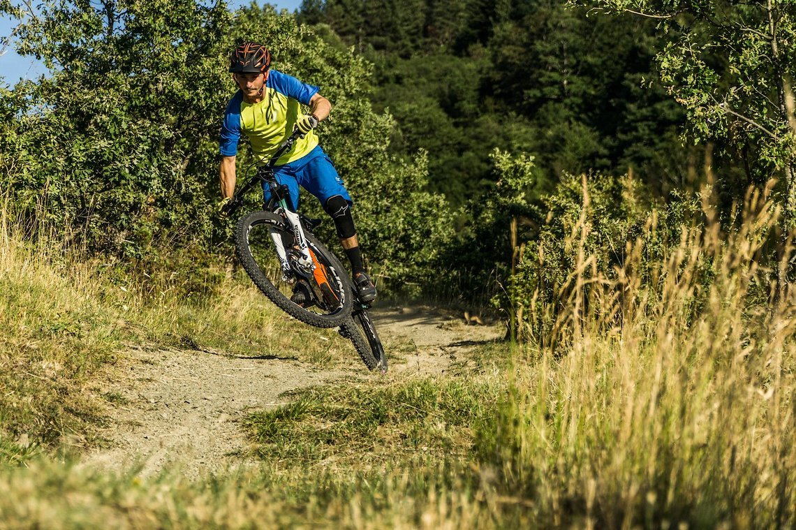 ...den schmaleren Varianten in 27.5" und 29" - die Selva gibt es in verschiedenen Versionen.