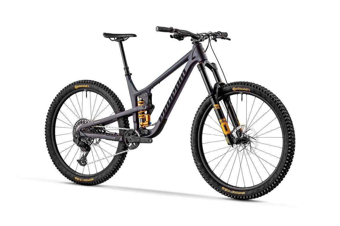 Tyee-AL-Midnight-Blue-Swedish-Gold-002-Falch-Photography