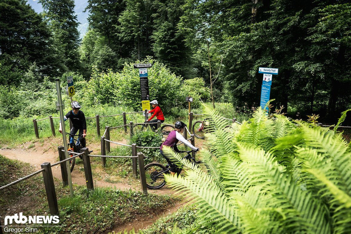 Ein besonderes Feature ist der Trail-Kreisel, von dem aus man in verschiedene Abfahrten starten kann.