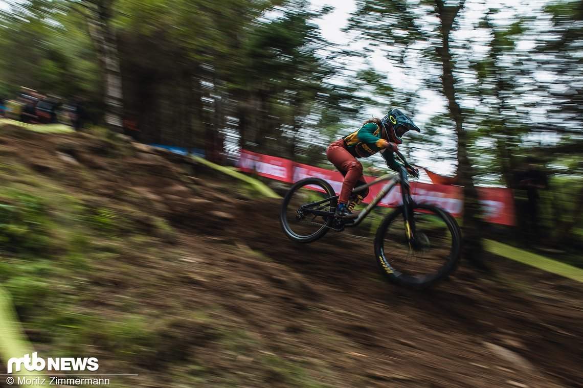 quali-update-8423