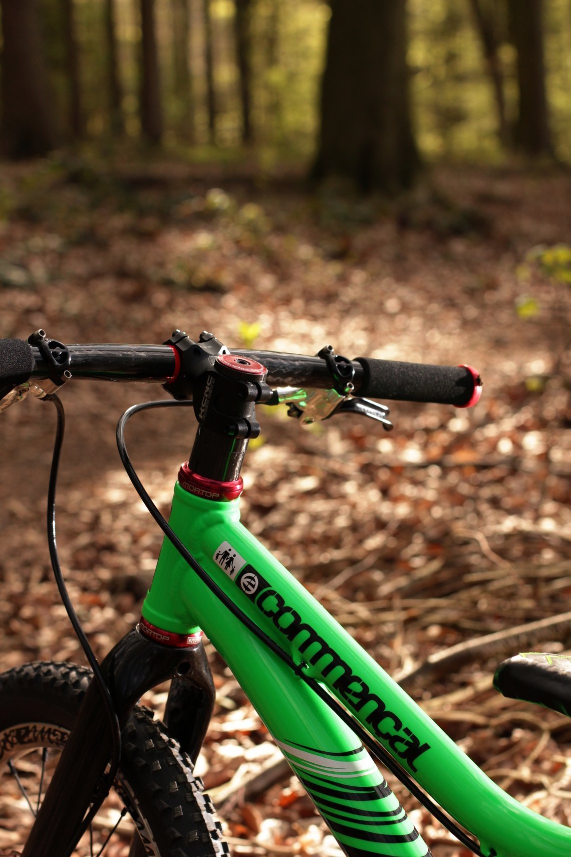 Auch das Cockpit ist hochwertig und farblich natürlich perfekt abgestimmt