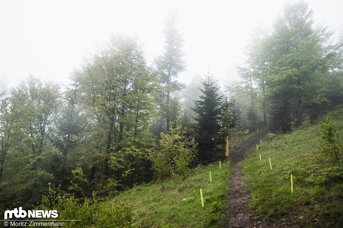 bielsko-biala-track-walk-62906