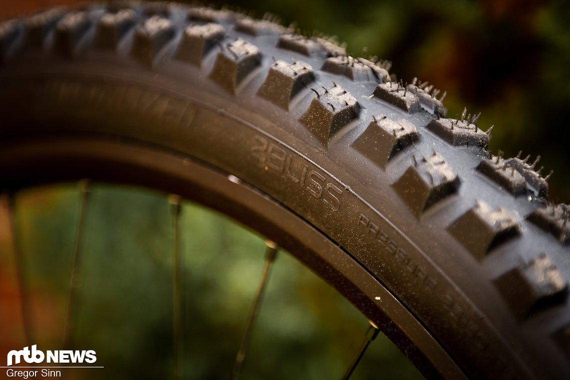 Specialized-Cannibal-Produkt-0193