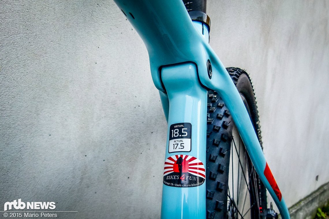 Das IsoSpeed-Gelenk kennt man bereits aus dem Rennrad-Bereich