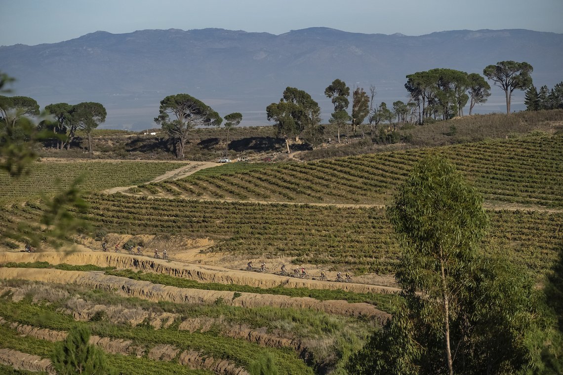 Elite men in some vineyards during Stage 5 of the 2024 Absa Cape Epic Mountain Bike stage race from CPUT, Wellington to CPUT, Wellington, South Africa on 22 March 2024. Photo by Dom Barnardt /Cape Epic
PLEASE ENSURE THE APPROPRIATE CREDIT IS GIVEN TO