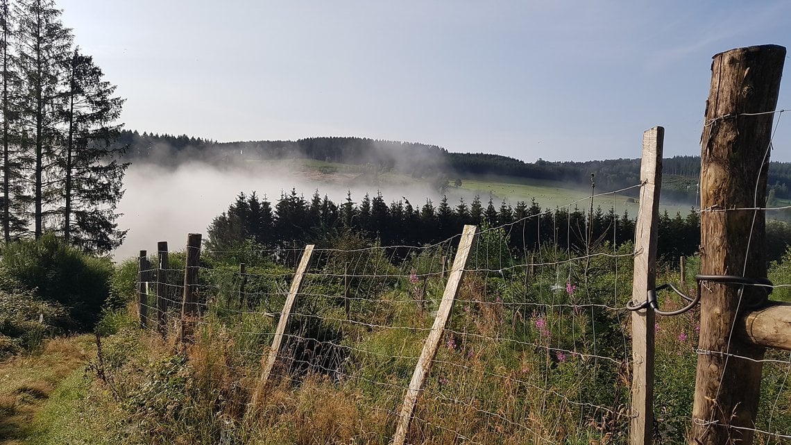 Landschaft auf belgisch.