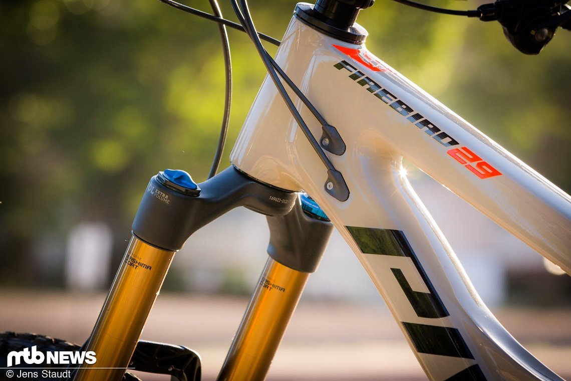 Pivot Firebird 29 -1899