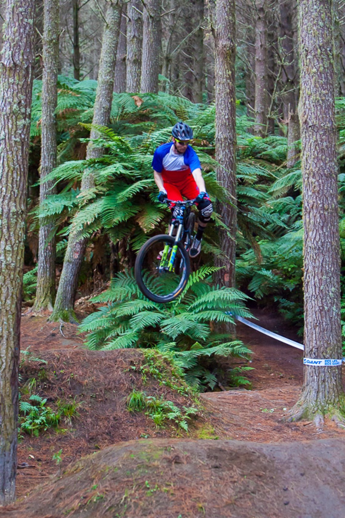 Rotorua #10