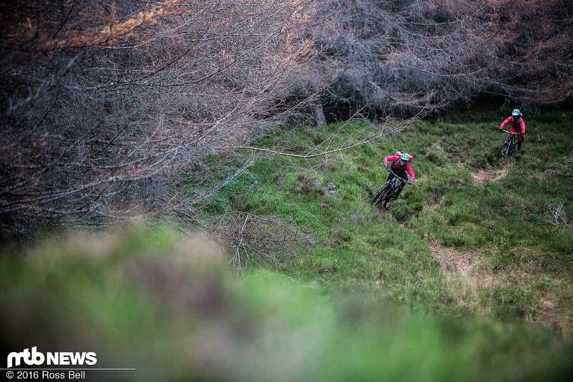 Die schnellen Trails sorgen für ein Grinsen im Gesicht.