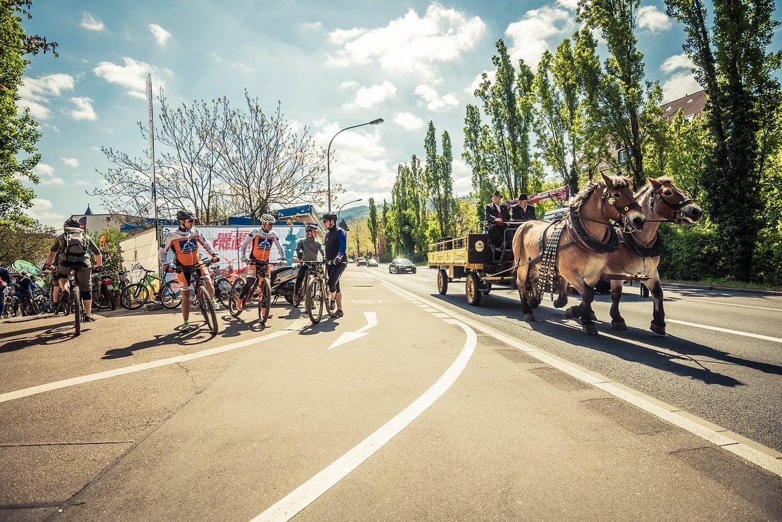 Brauerreipferde sind vermutlich eine der Besonderheiten des Freiburger Bikefestivals