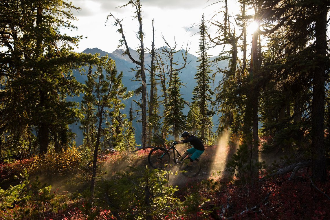 20171002 Golden BC 504