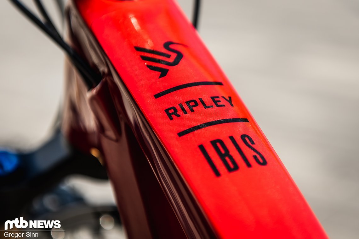 Das Ibis Ripley ist in auffälligem Rot oder schlichtem Grau-Weiß erhältlich.