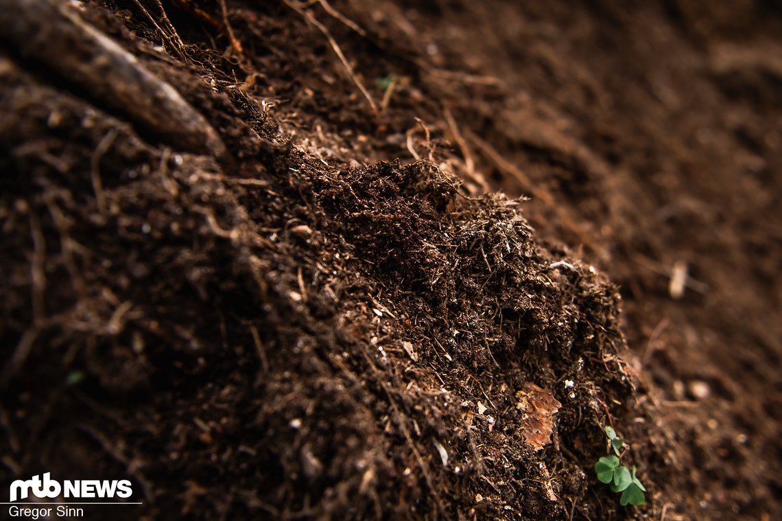 Wieso liegt hier eigentlich Loam?