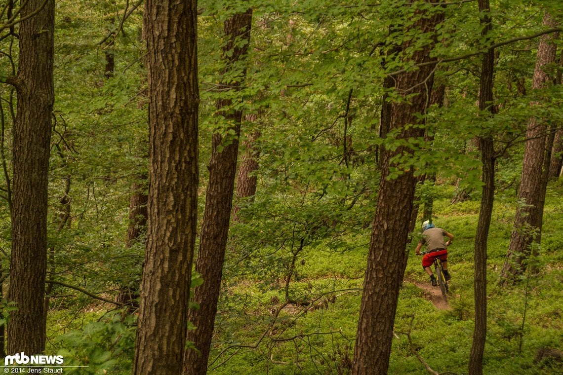 Und im Slalom um die Bäume