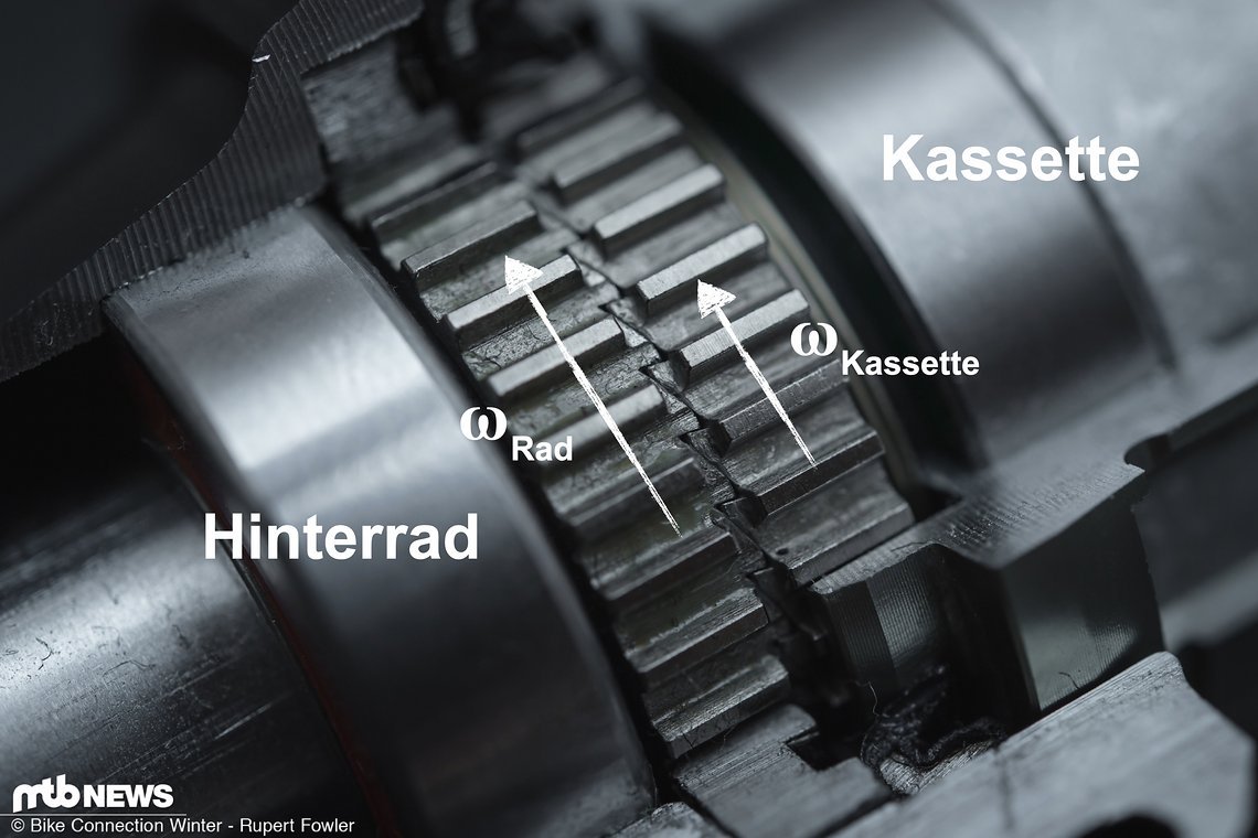 Solange die Drehzahl (𝝎) der Kassette geringer ist als die des Hinterrads, kann kein Pedalrückschlag auftreten