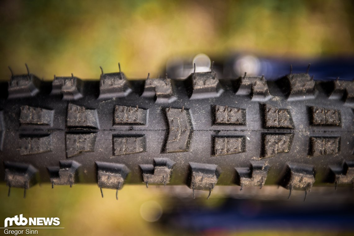 Specialized-Cannibal-Produkt-0197