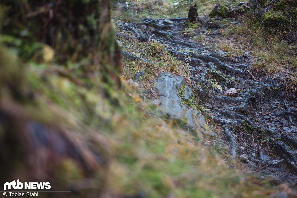 Herausfordernde Bedingungen auf den Trails - aber auch genau das, was es braucht, um die versprochenen Vorteile herauszufahren
