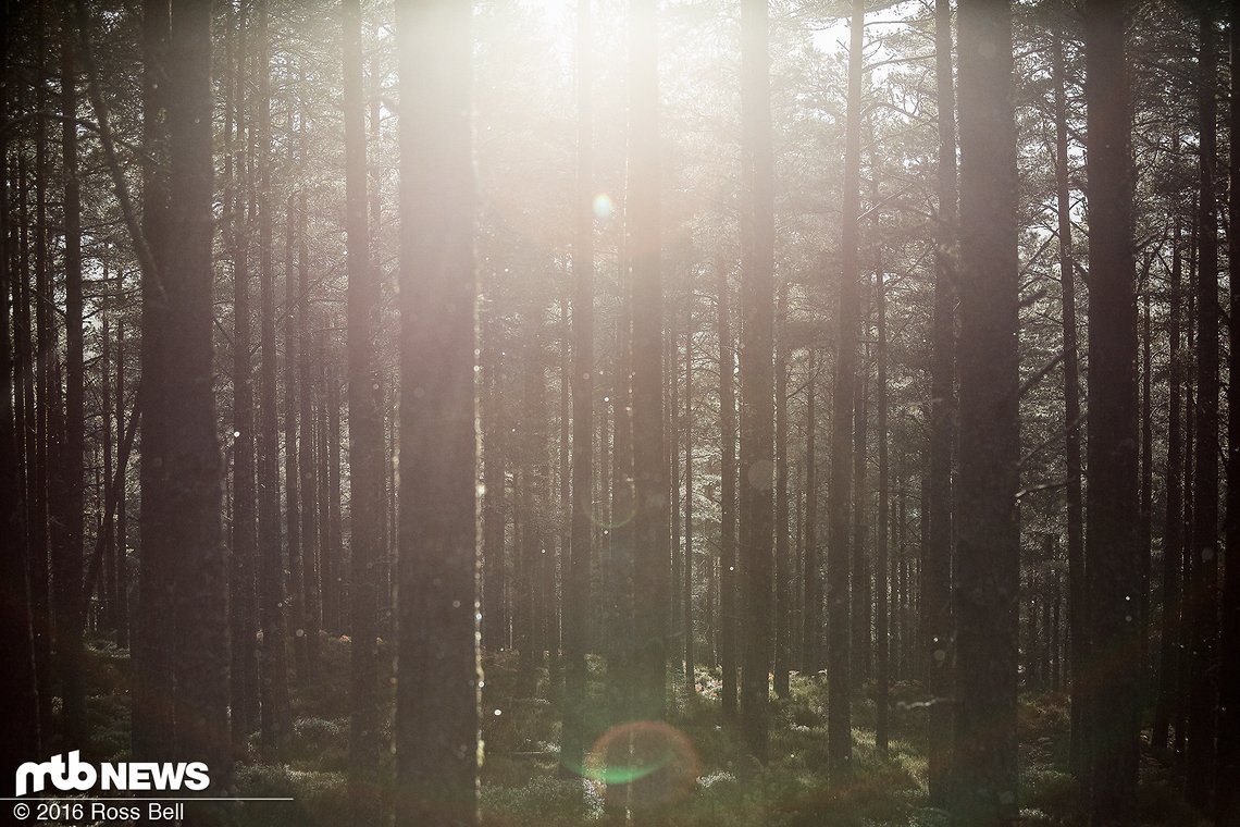 Sonne!