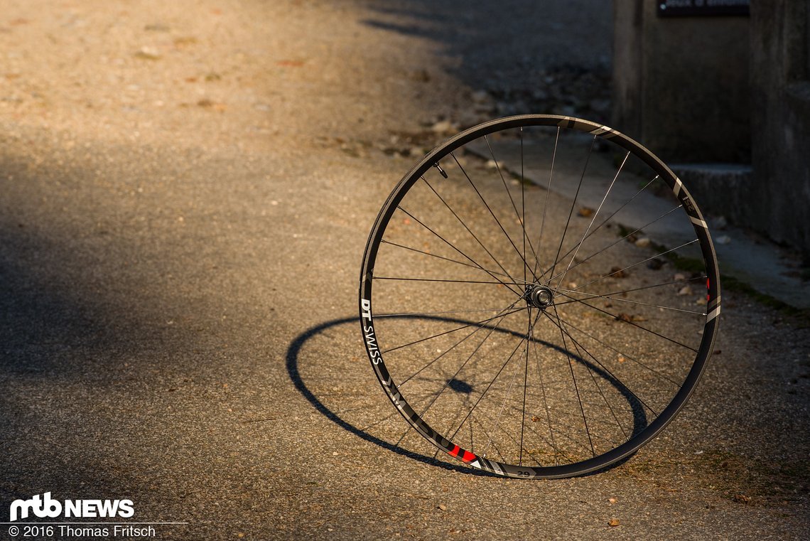 DT Swiss Spline-One
