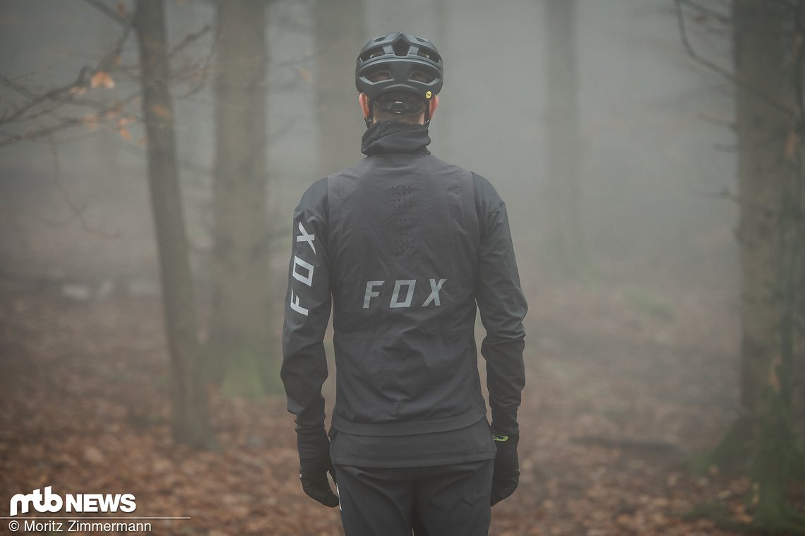 fox-winter-8007