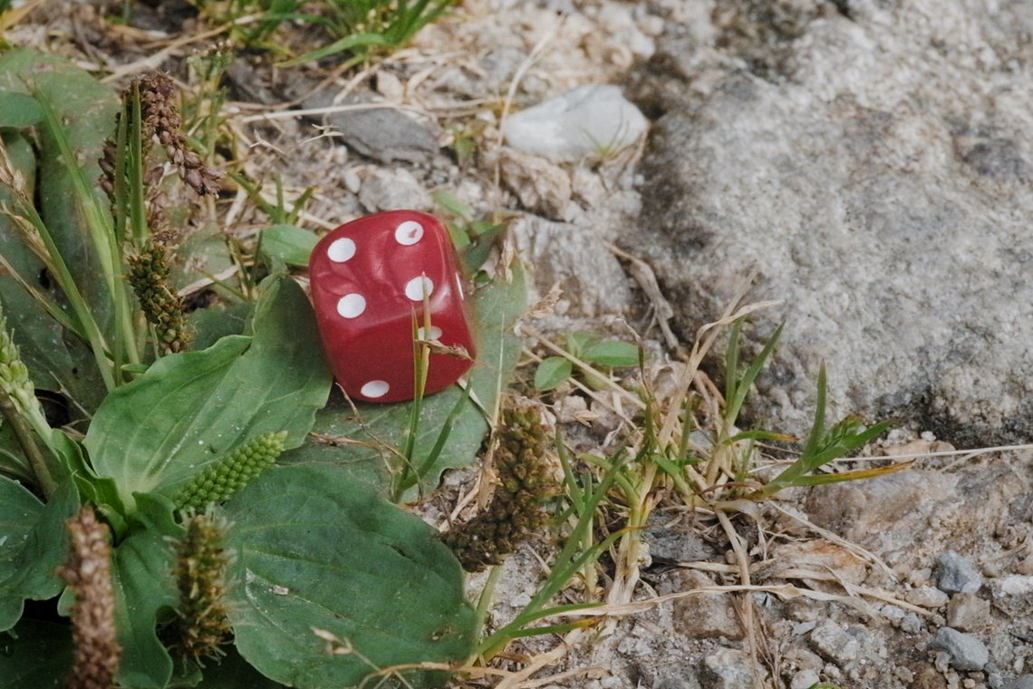 Der Würfel entscheidet, wo es lang geht.