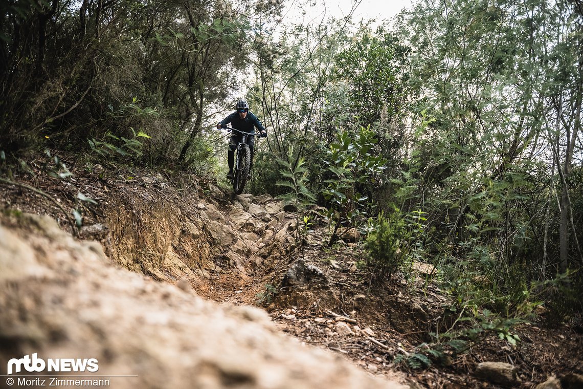 Neben flowigen Abschnitten hatten unsere Test-Trails auch durchaus anspruchsvolle Sektionen zu bieten