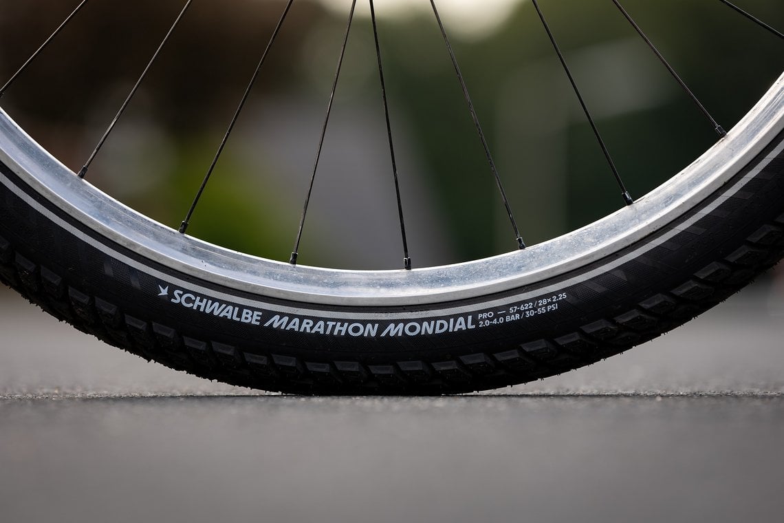 Gerollt wird auf Schwalbe Mondial Pro Bereifung