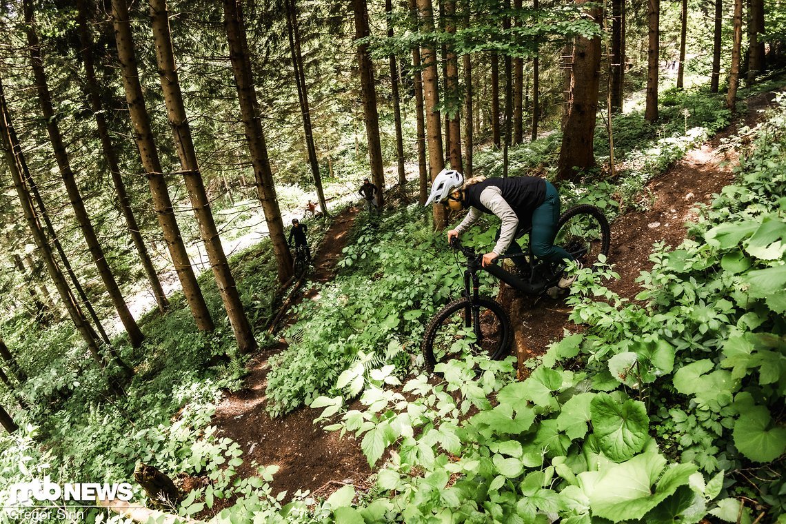 Technisch anspruchsvoller wirds am Blairwitch-Trail