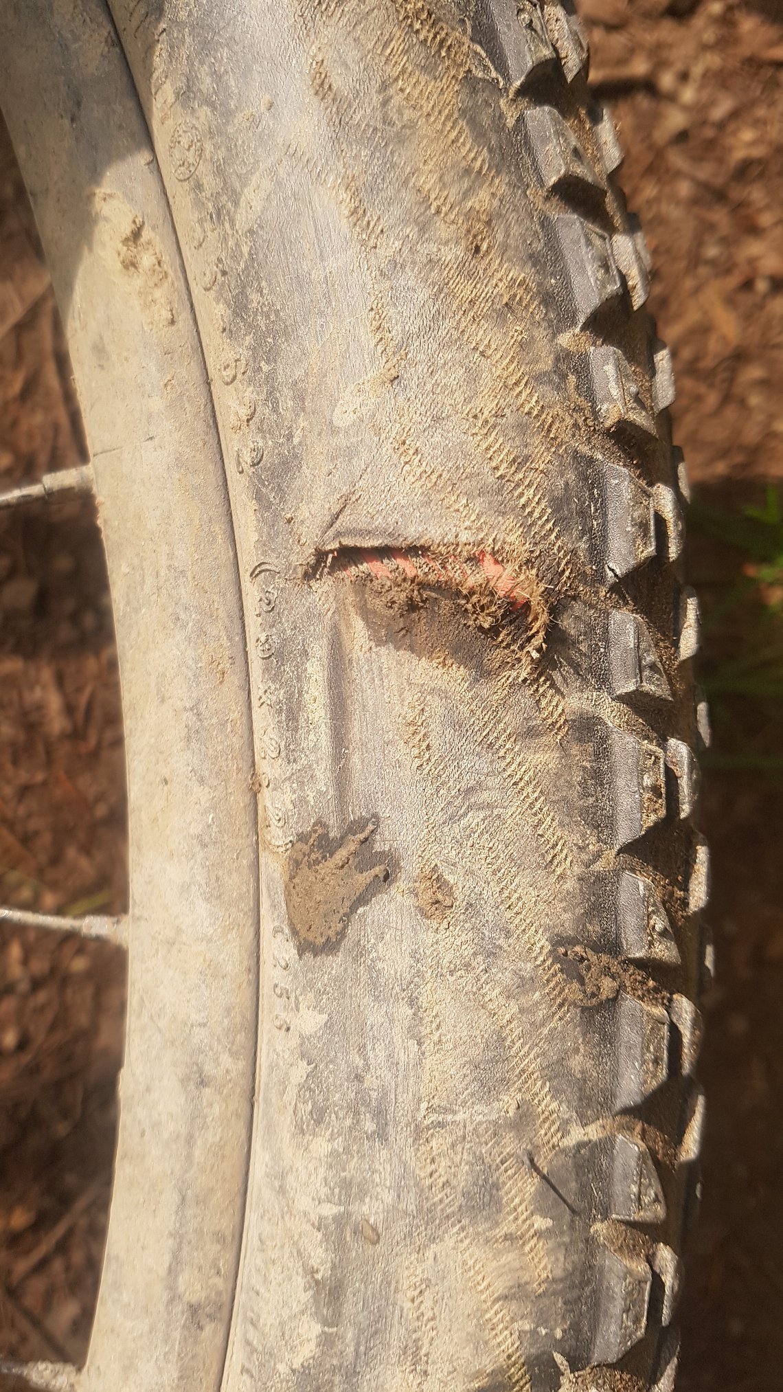 Cut im Reifen von Ulrich 85 km vorm Ende.