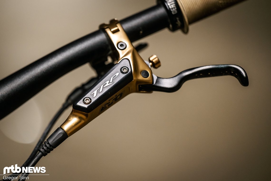 Focus-Daniel-Renz-5678