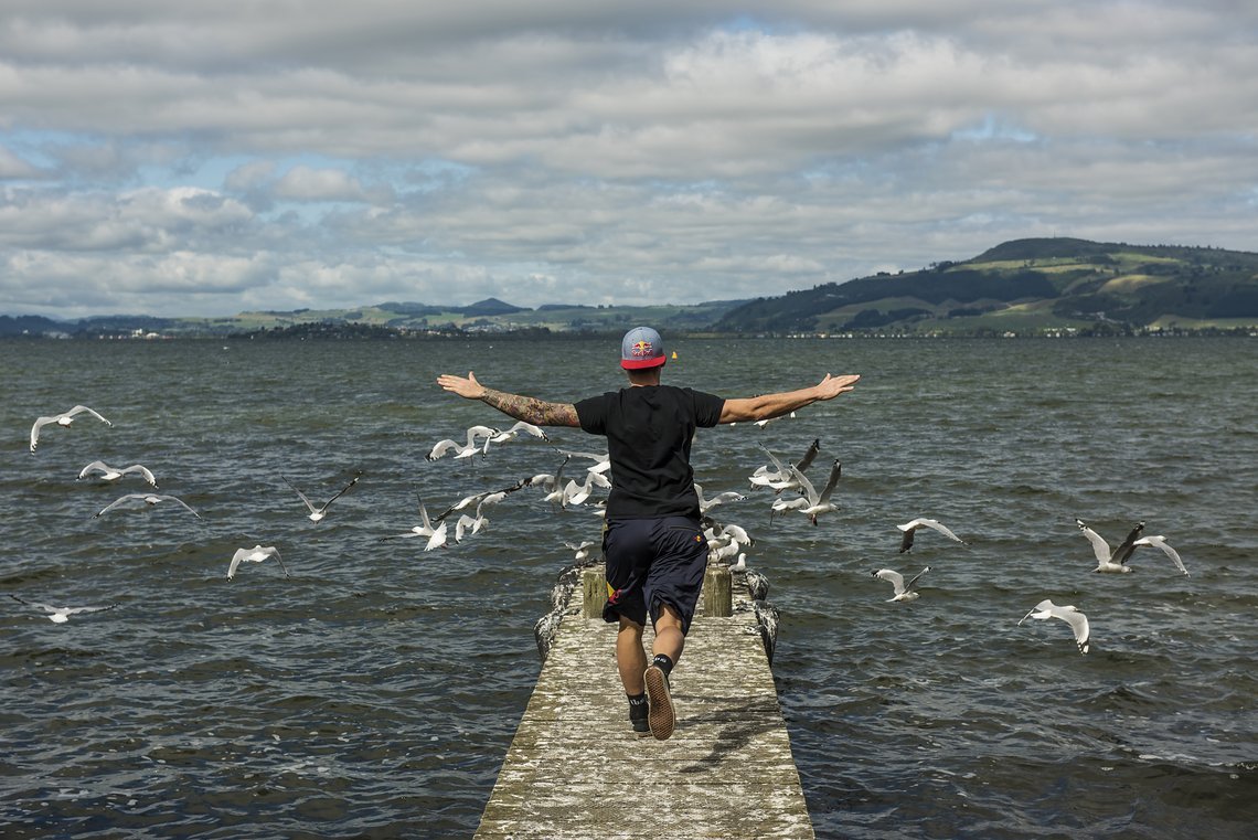 Free like a bird!