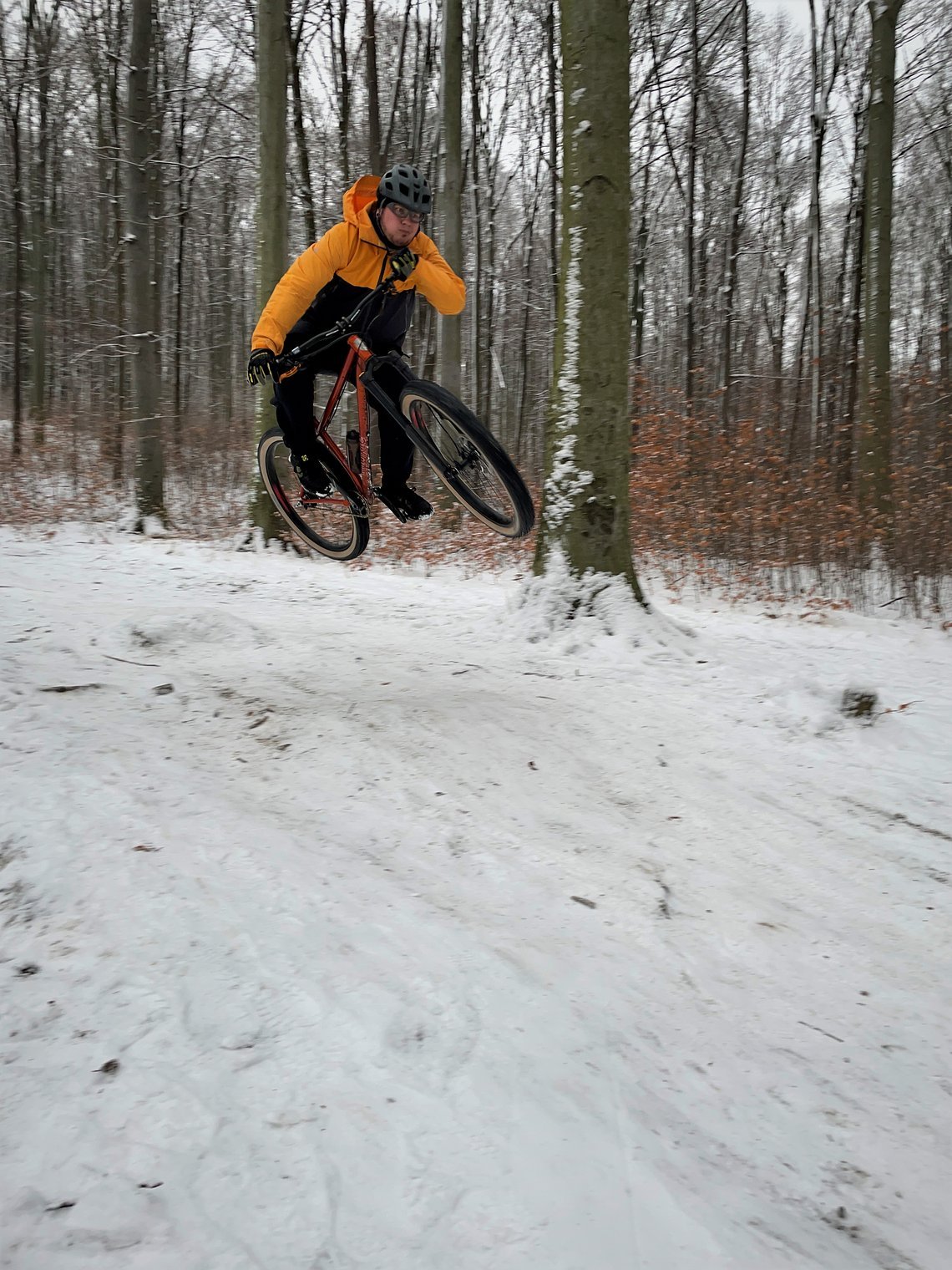 Laut Raphi1986 ist das Pipedream Moxie das perfekte Rad für seine gemäßigten Hometrails